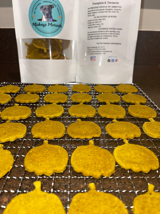 Pumpkin & Turmeric Dog Treats 4oz