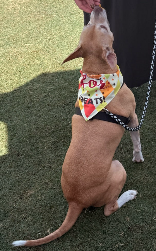 Bandanas