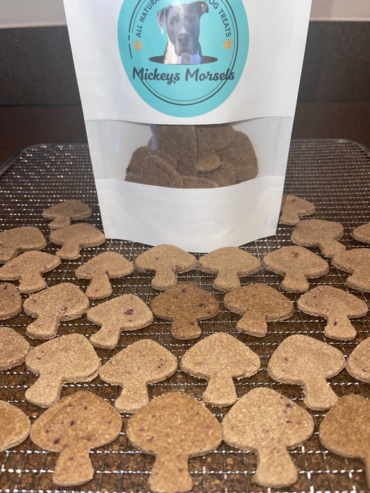 Mushroom & Cranberry Dog Treats 4oz